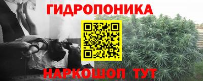 сатива Наро-Фоминск