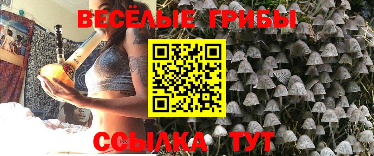 Галлюциногенные грибы ЛСД  Псилоцибиновые грибы MAGIC MUSHROOMS  Глазов  Вход с VPN 