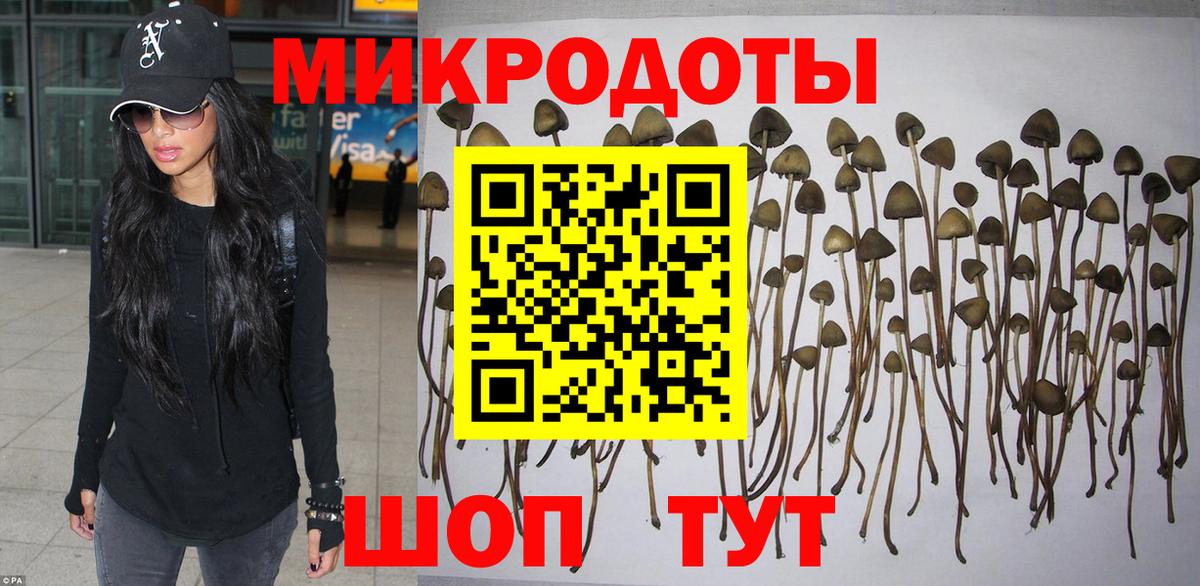Галлюциногенные грибы Psilocybine cubensis Глазов